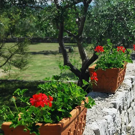 Pensión House Alexandra In In A Quiet Location On Losinj Island 3*