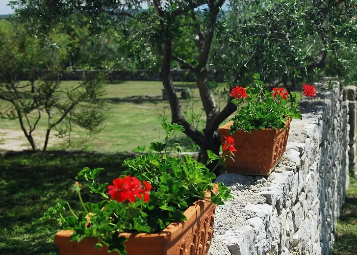 Affittacamere House Alexandra In In A Quiet Location On Losinj Island 3*